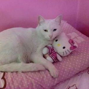 Meet your Posher, Angela